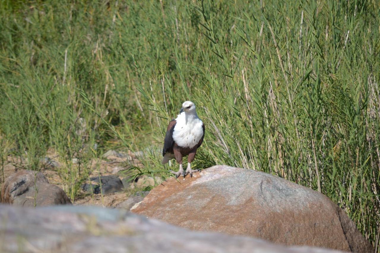 Athule Inn Marloth - Units Marloth Park Bagian luar foto